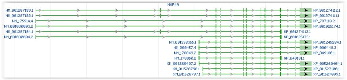 Isoform - varför är det viktigt? Samma gen kan tex ha olika långa exon i de olika isoformerna.