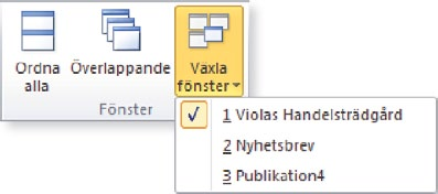 Spara publikationen med namnet Information om Violas och stäng den sedan.