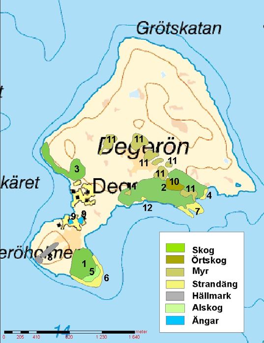 Skyddsvärda områden på Degerön. 2. Långrevberget, naturskog. Beskrivning: området utgörs av två områden som delvis skiljs åt av ett gallrat skogsavsnitt.