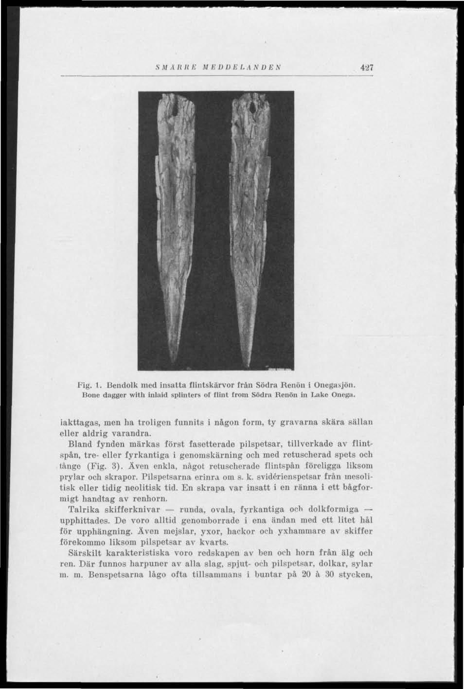 S.11 Å It II B,U / : D D E I. A N D E N 427 Lig. 1. Bendolk med insatta flintskärvor från Södra Renöu i Onegasjön. Bone daggcr with inlilid splinlcrs of flint from Södra Renön in Lake Onega.
