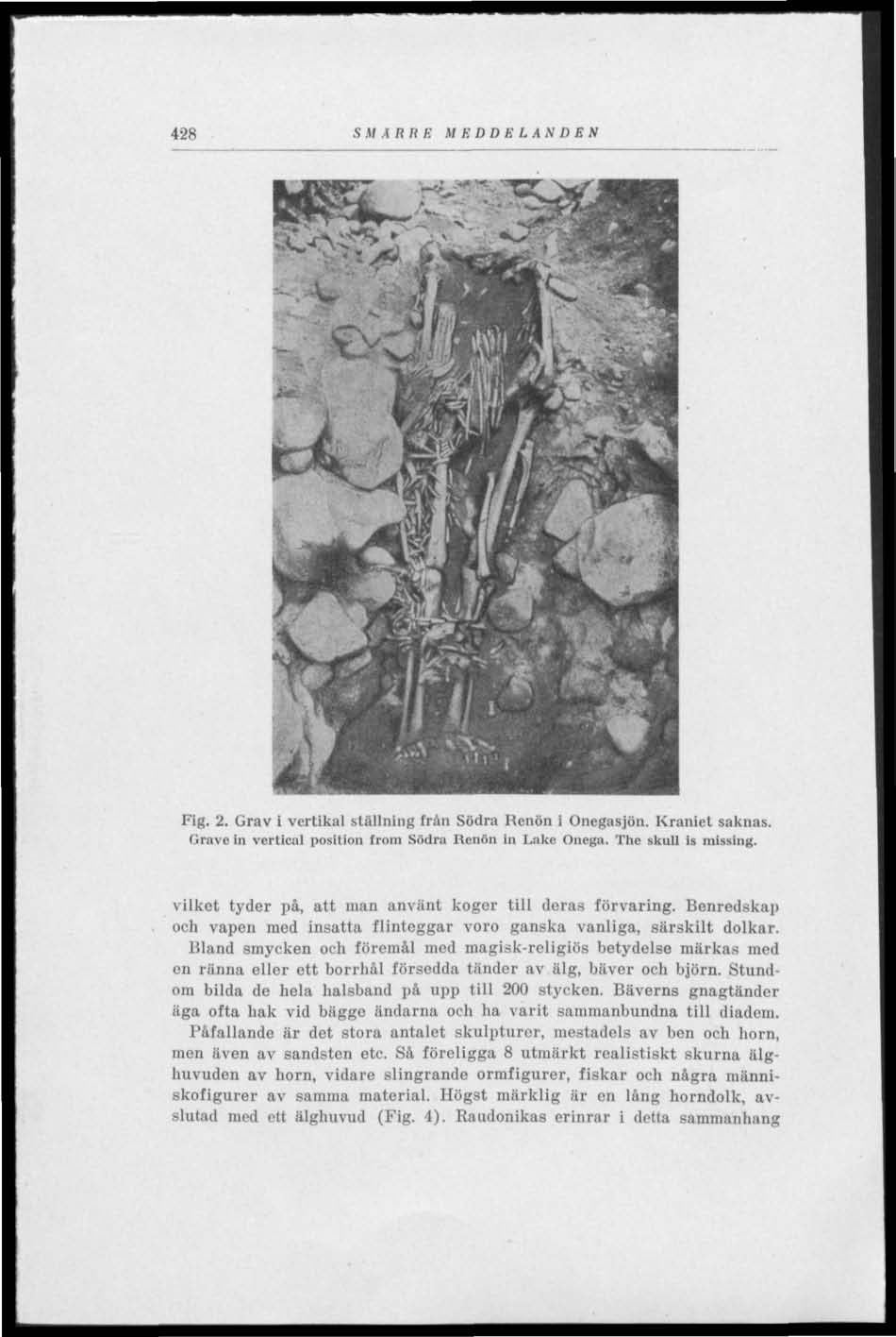 428 SMÄRRE MEDDELANDEN Fig. 2. Grav i vertikal ställning från Södra Rcnön i Onegasjön. Kraniet saknas. Grave in vertieal position from Södra Henön in Lake Onega. The skull Is missing.