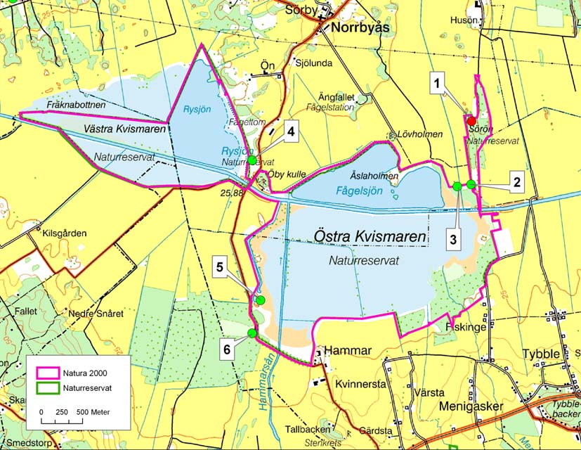 Figur 1 Karta över Sörön och Kvismaren. Gröna punkter markerar vatten med fynd av större vattensalamander och röda punkter markerar vatten där arten saknas.