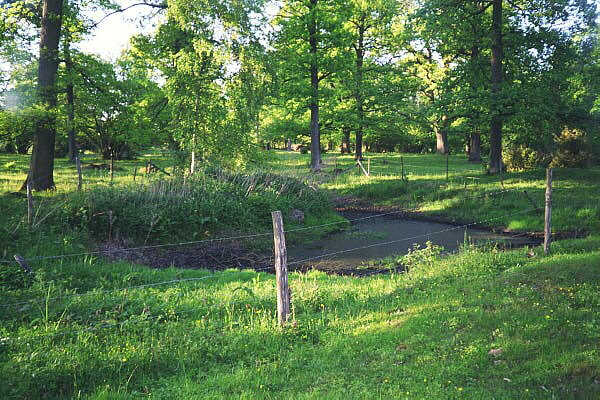 5. Inhägnad branddamm omgiven av åker- och betesmark. Dammen är belägen utanför Natura 2000 områdena vid Härvesta gård.