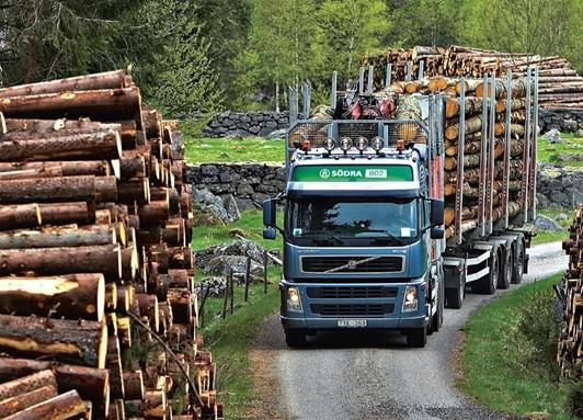 Sverige en skogsindustriell stormakt