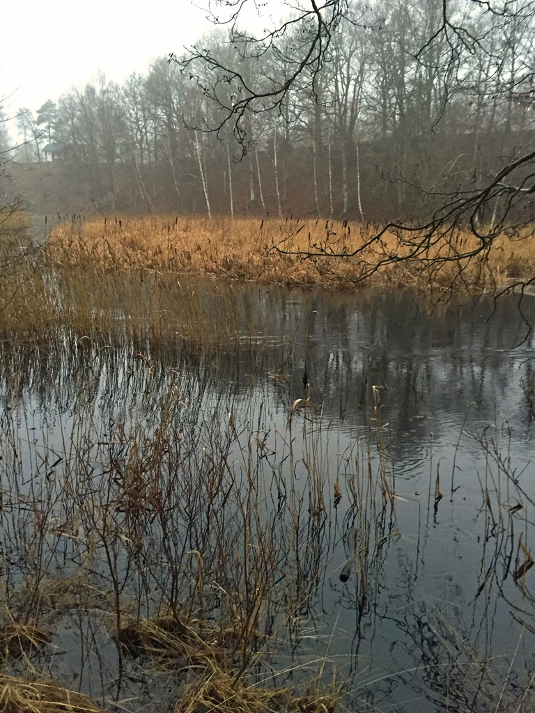 se/ På fastigheten finns en skogsbruksplan upprättad i december månad år 2015 av Victor Nordell.