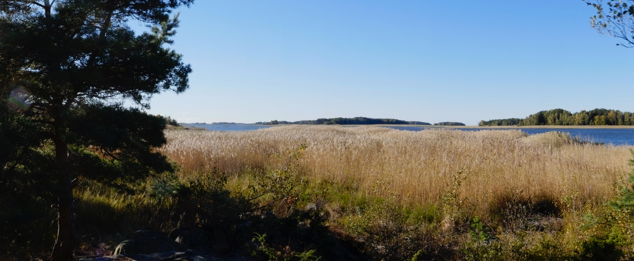 Inventeringen skedde sent på säsongen och i kallt väder så några återfynd vid befintlig inventering inte har varit möjlig.