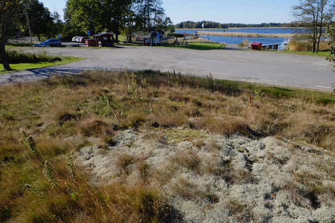 I förgrunden finns en torrbacke med ett tunt lager av jord