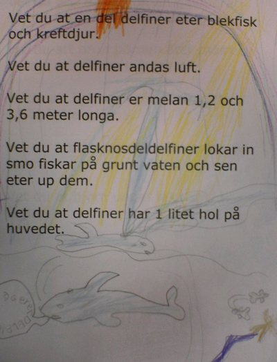 Språkstöd och IKT Språkgranskningsverktyg etc.