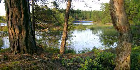 Men här ryms också naturreservat som ger mer vildmarkskänsla, såsom Björksättrahalvön.