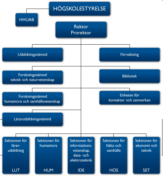 Funktionsorienterad organisation/traditionell Hierarkisk
