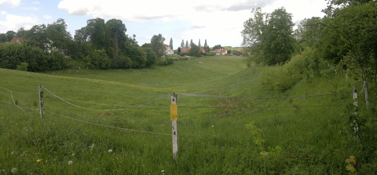 Klippans kommun Sid 14 (36) 811-036 som får i sig både gräs och jordpartiklar. Det har inte kunna fastställas med säkerhet hur området förorenats.