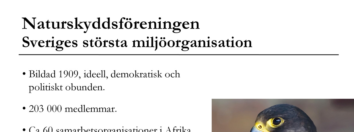 Förslag att säga: varmt välkomna hit! I kväll ska jag prata om projektet Operation Giftfri Förskola, om miljögifter och varför de finns i vår vardag, samt vad man själv kan göra åt situationen.