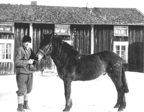 Från Hembygds, Hamre, Ljustorp Socken, Timrå, Medelpad, Västernorrland Fotot är daterat till 1954 Fredrik poserar framför sin mangårdsbyggnad.