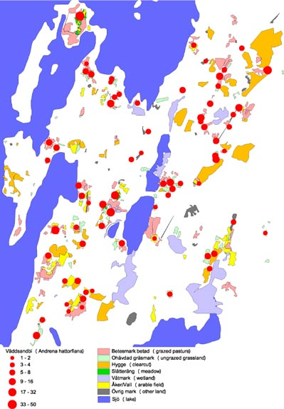 Markus Franzén & Sven G. Nilsson Ent. Tidskr. 125 (2004) Figur 8. Väddsandbiets utbredning i studieområdet 2003. Antalet individer är från det besök flest individer noterades på respektive lokal.