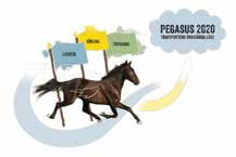 PEGASUS 00 Nu är det dags för workshops i travsverige kring Pegasus 00 travsportens önskvärda läge. Ett projekt där du kan vara med och påverka travsportens framtid. Anmäl dig på travsport.