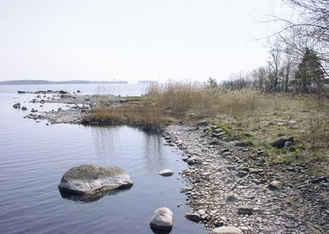 Sammanfattning 10 Grönstruktur Riksintresse natur Naturminne Naturreservat Naturreservatsutredning Värdefull natur Värdefullt grönområde Friluftsliv/rekreation Landskapsbild Stig/väg av värde för