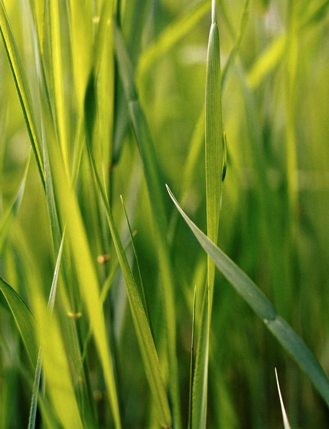 Klimatkommunerna utmanar! Fortsätt att utmana! Ligga i framkant i ert arbete!