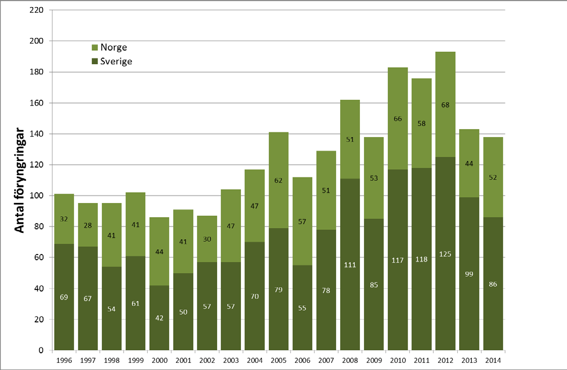 8.2 Beståndsutveckling Under inventeringssäsongen 2014 återfanns 138 järvföryngringar i Skandinavien (Figur 2), vilket motsvarar en minskning i antalet föryngringar på 3,5 % jämfört med fjolårets 143