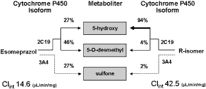 Metabolism av omeprazols isomerer i