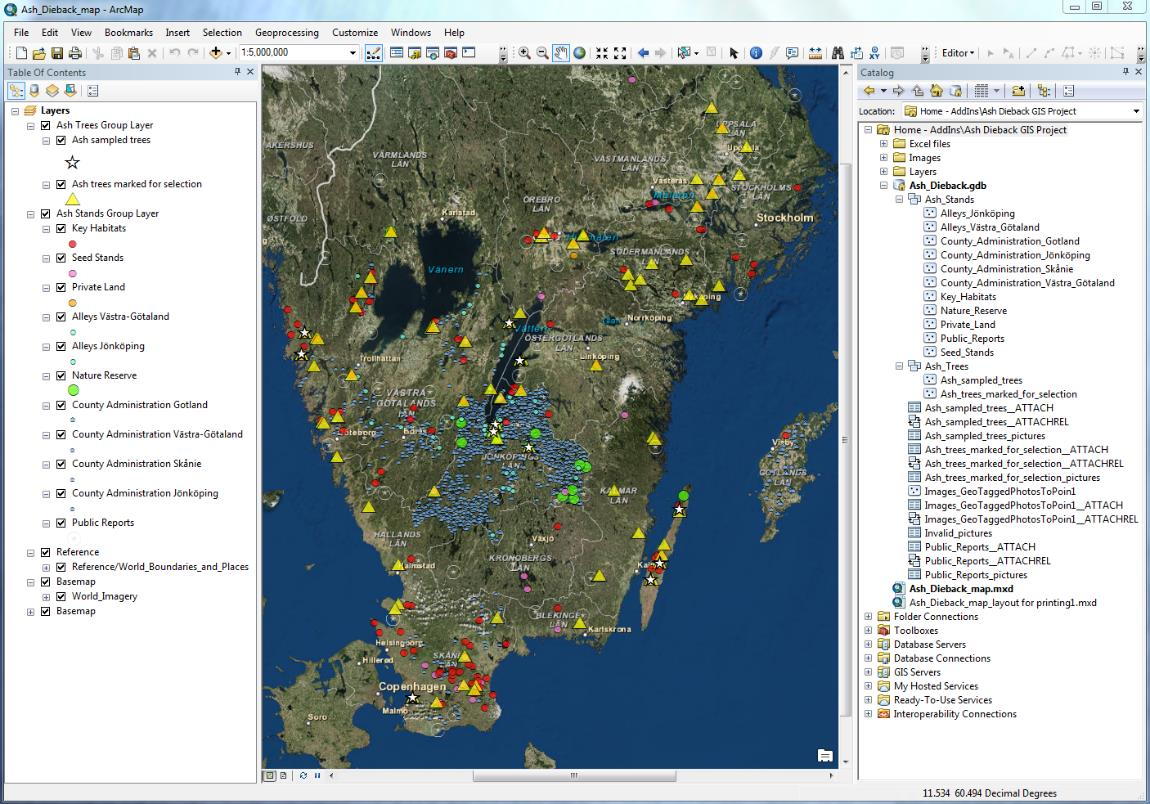 Figure 6. The Arc GIS inventory database of resistant ash showing locations of surveyed sites (top) and individual trees marked for selection, and associated tree attributes.