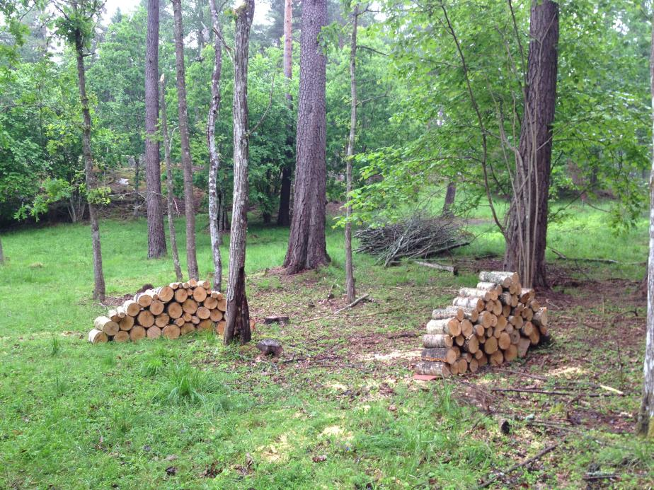 Övergripande mål Kommunens skog- och naturmarker ska ha höga ekologiska och sociala värden. Skötsel och förvaltning ska präglas av ett hållbart förhållningssätt.