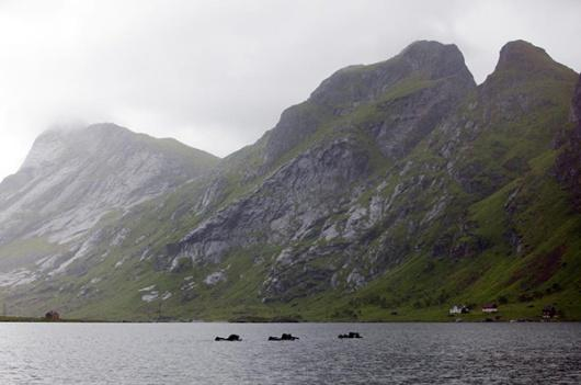 En kort cykling tog oss till den tredje och sista löpsträckan ute på Lofoten.