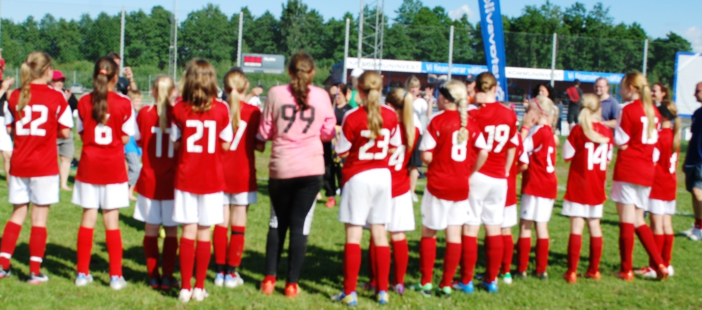VIGGAN F01 segrare i B-finalen Örebrocupen 2013! Louise, Lisa, Maja, Jennifer, Julia, Helen, Isabel, Clara, Isabella, Sara.