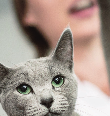 dermatit orsakad av loppor (flea allergy dermatitis, FAD).
