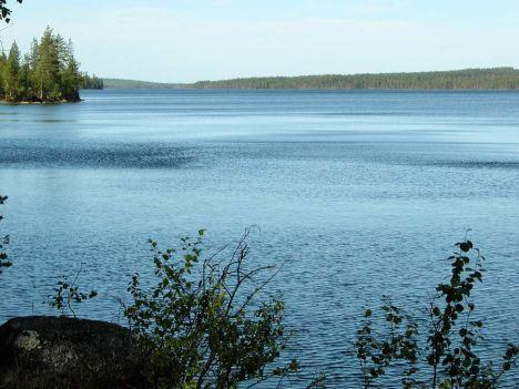 Återställandet av en biologiskt död sjö åtgärder och uppföljning SveMin 6