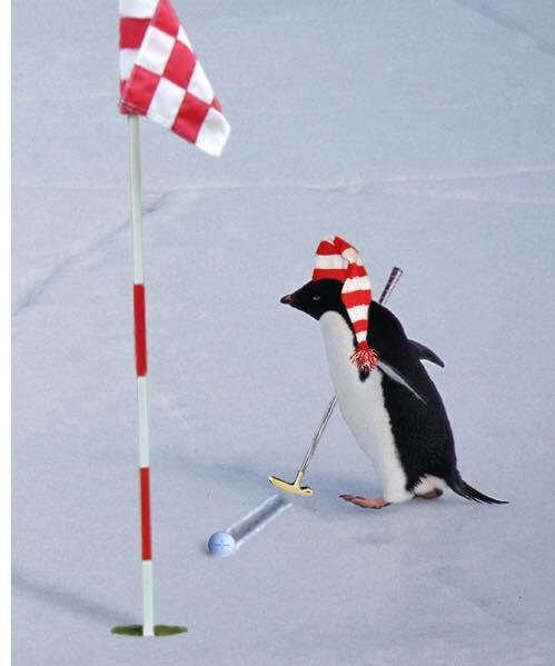 På Barsebäck GCC