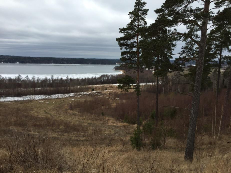 Figur 2 Delområde 2 Vid delområde 1 planas markytan av