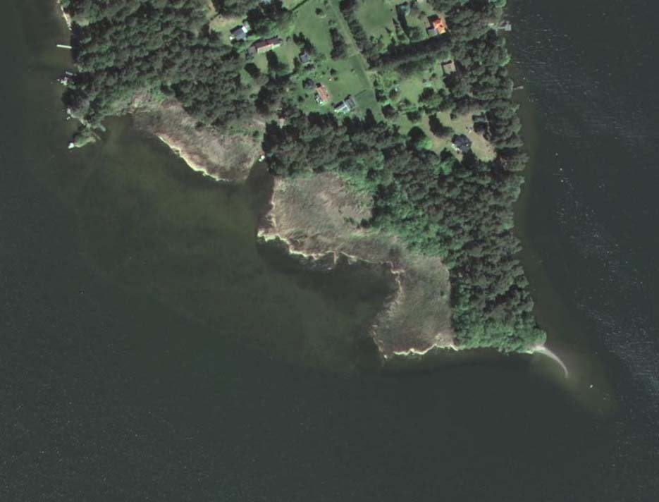 Gräsholmen Den inventerade sjöstranden vid Gräsholmen delades in i två delområden västra samt södra/sydöstra.