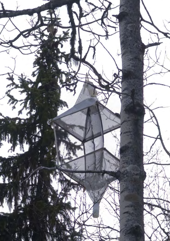 Steklar i Björnlandet 27 av fuktig blandskog med äldre gran, tall och lövträd.