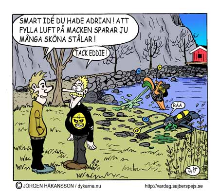 Vrak, oljefat och gamla trålar lurar på botten Havsbotten är full av överraskningar. En sådan var fyndet av den nedskjutna svenska DC 3:an sommaren 2003.