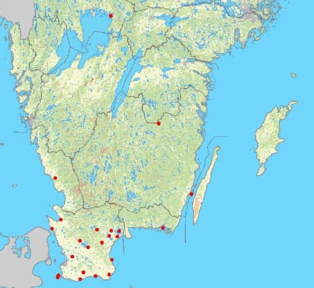 Tabell 1. Antal fyndlokaler för barbastell i Sverige under perioden 1978-2006. Fördelning på landskap, län och EUs regioner.
