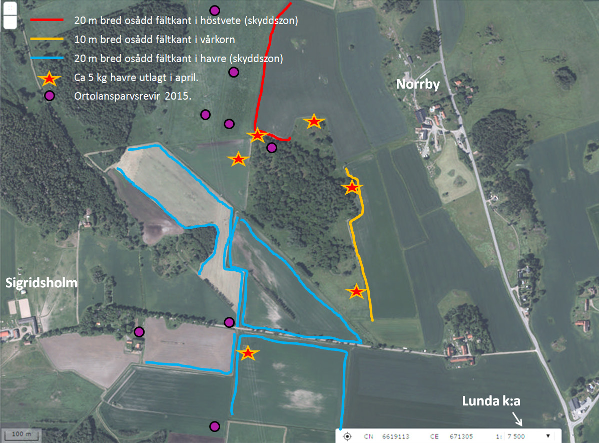 Karta över utförda åtgärder i område Sigridsholm-Norrby år 2016. nyansökningar under 2016 har lantbrukarna i Sigridsholm-Norrby i likhet med många andra nyanlagt skyddszoner.