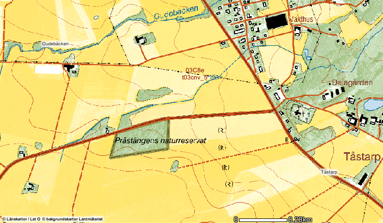 Introduktion Prästängen är ett naturreservat på ca 3,25 ha utanför Tåstarp (figur 1), nära Ängelholm i Skåne. Det avsattes som naturreservat den 22 juni 1967 p.g.a. dess för landskapsbilden tilltalande, lövängsartade karaktär och dess intressanta flora (Regnéll 1979).