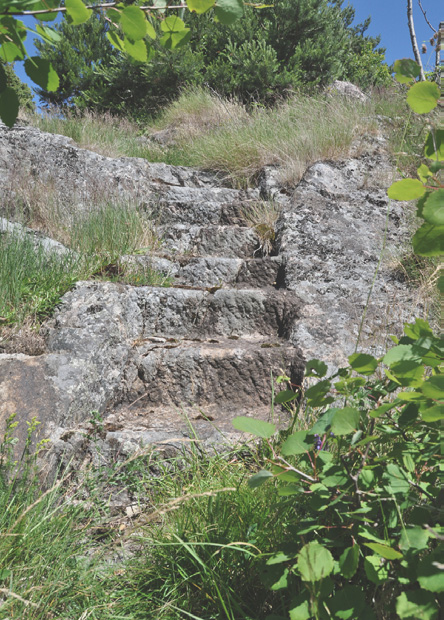 Här noterades bl a slån, oxel, nyponros, gulmåra, trift, tjärblomster, piggstarr, kärleksört, jord-, vit- och rödklöver, strandglim, gulsporre, smultron, prästkrage, gråbo, gul fetknopp, bockrot,