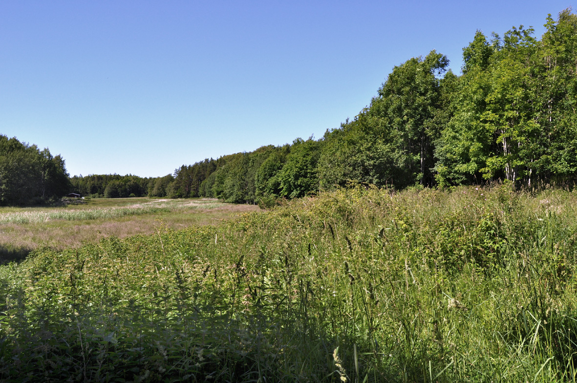 DELOMRÅDE 28 - Randskogen kring berget nordväst om gårdsbyggnaderna Trädskiktet domineras här av oädla lövträd som asp, rönn, vårtbjörk och sälg med inslag av ek och tall.