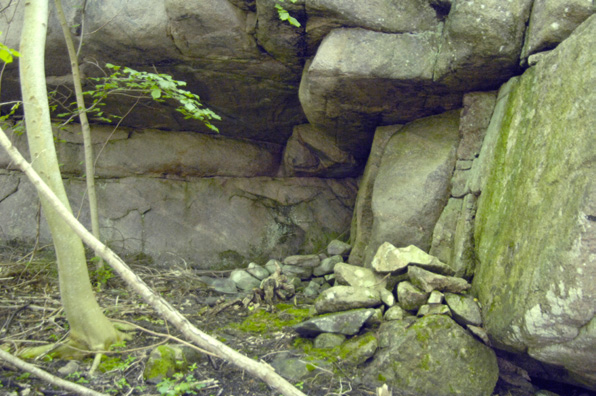 DELOMRÅDE 33 - Bergshöjd I nedre delen av branten mot väster förekommer löv med ask, rönn, alm och björk. I berget finns också en grottlikande bildning (fig 28) med uppstaplade stenar.