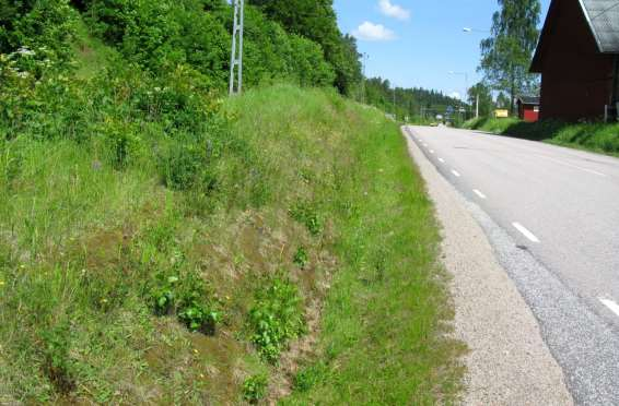 1610-3: Främst ytterslänter mellan väg och järnväg. Blomrikare sträcka med åkervädd och gråfibbla. Sträckan ligger i anslutning till hedarna vid Osdal-Bråt som är en av länets bästa bilokaler.
