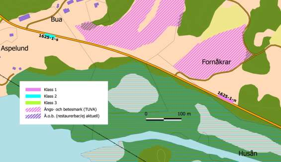 O 1625-1 Bua Korta vägkantsslänter mot söder. I vägkant 1625-1-n hittades inventeringens största koncentration av guldsandbin vilket kan tyda på brist på blommor i omgivningarna för övrigt.