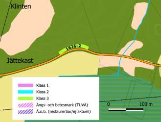 Naturvärde Klass 3 Flora Gökärt 2, svinrot 3, teveronika 2, blodrot 2, käringtand 2