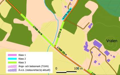 ID 1773-2 (1773-2a-v) Kommun Borås Sida av vägen Båda, inner- och ytterslänt Längd (m) 70 Naturvärde Klass 2 Flora Gökärt 2,