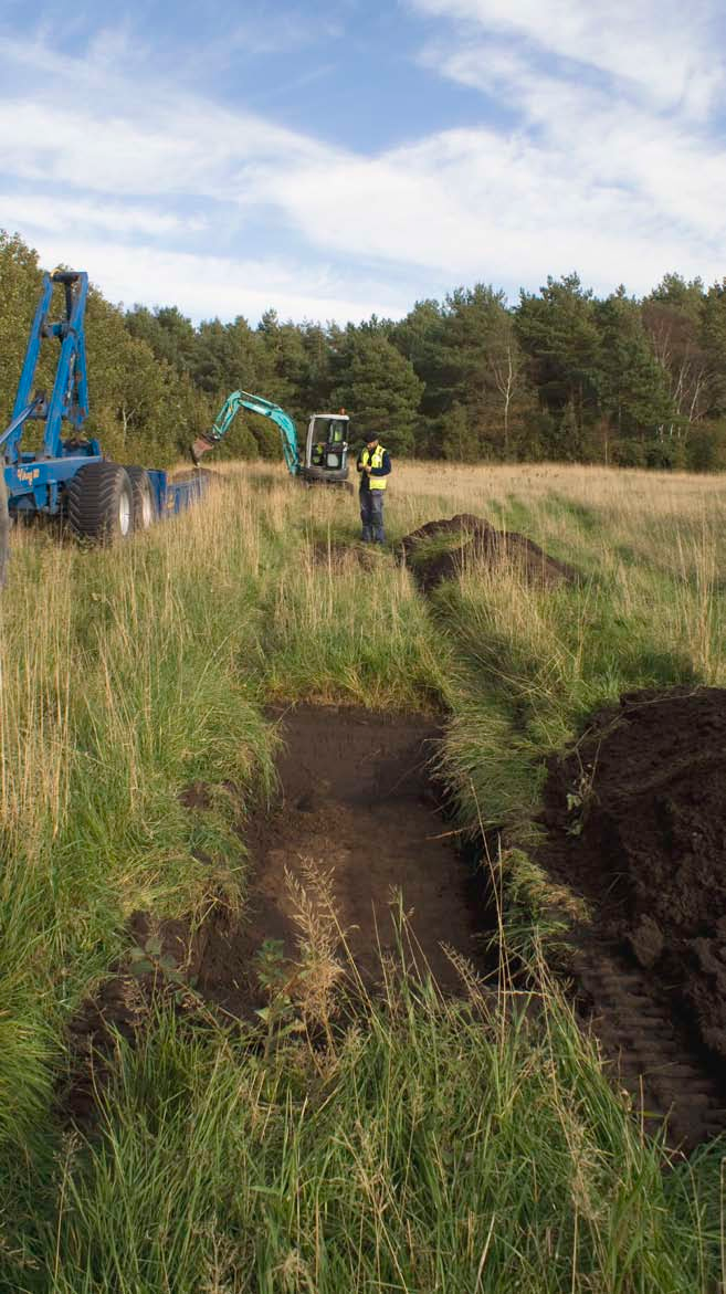 Ny avloppsledning i Tanum Arkeologisk utredning,