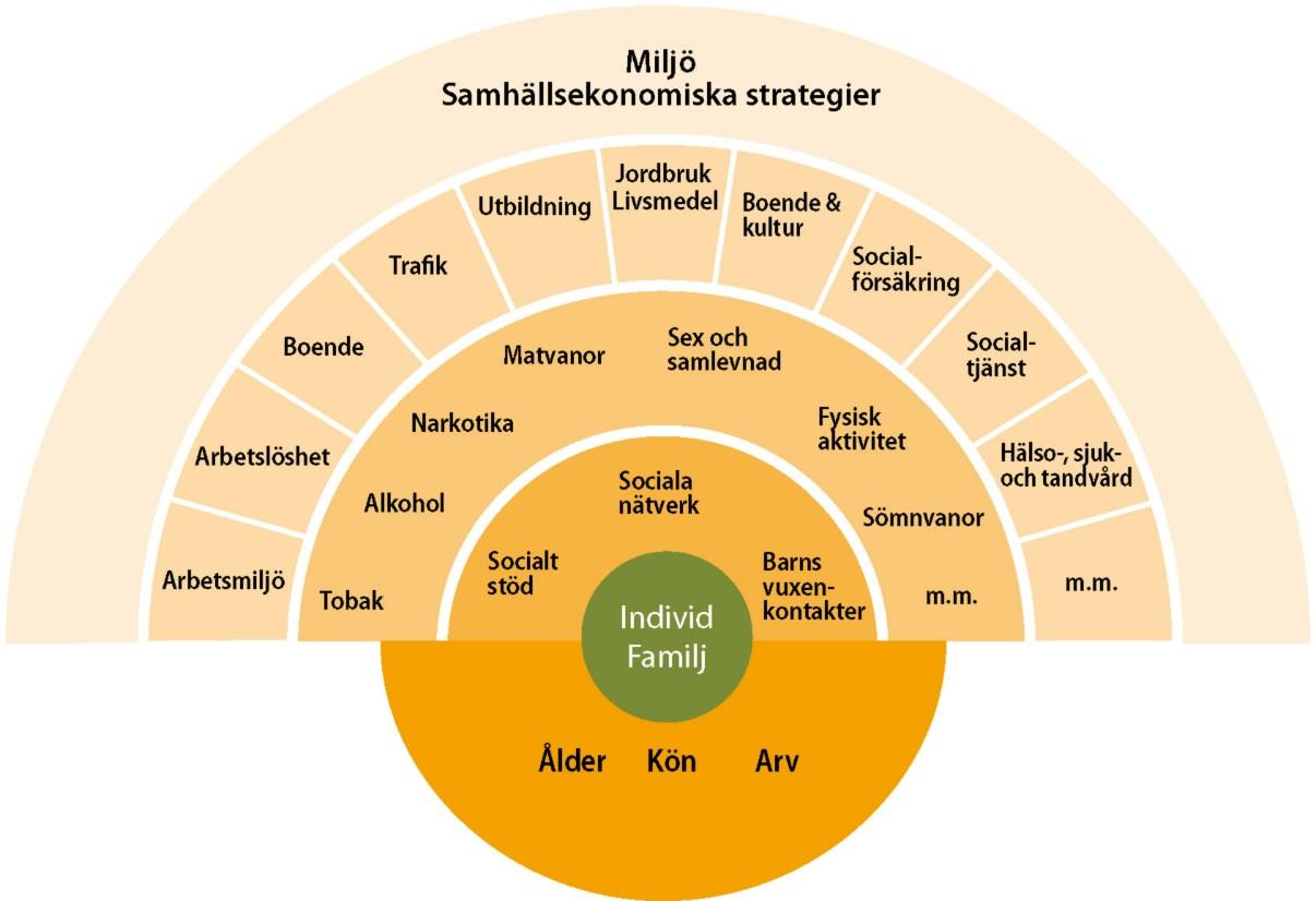 Jämställdhet = samma rättigheter, skyldigheter och möjligheter oavsett kön Mänskliga rättigheter gäller lika för