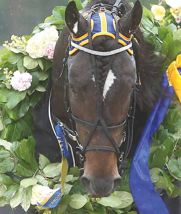 JÄMTLANDS STORA PRIS KALLBLODENS DERBYBANA