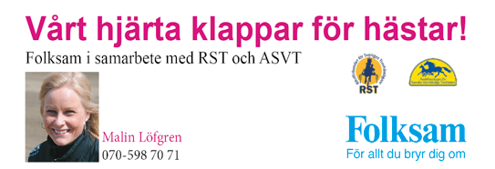 :00 -åriga och äldre högst 80.000 kr. 0 m. Tillägg 0 m vid vunna.00 kr, 0 m vid 90.00 kr. Pris:.000-.00-7.000-.700-.00-.00- (.00)-(.00) kr. Hederspris till segrande hästs ägare.