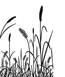 E-post: prepress@pingvinpress.