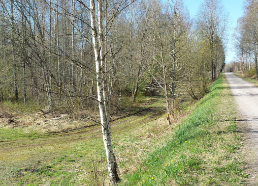 I planförslaget bevaras allén och åkerholmen som naturmark.